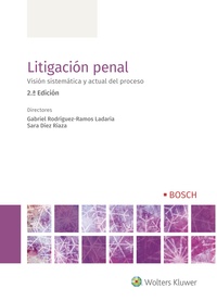 (2º) LITIGACION PENAL. VISIÓN SISTEMÁTICA Y ACTUAL DEL PROCESO