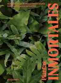 PLANTAS INMORTALES