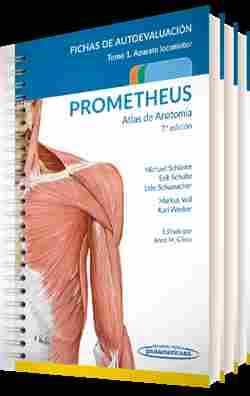 (3ª) PROMETHEUS ATLAS DE ANATOMÍA. FICHAS DE AUTOEVALUACIÓN (3 TOMOS)
