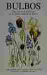BULBOS. UNA GUÍA DE IDENTIFICACIÓN DE LAS PLANTAS BULBOSAS DE EUROPA