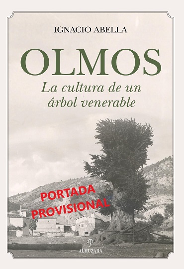 OLMOS. LA CULTURA DE UN ÁRBOL VENERABLE.