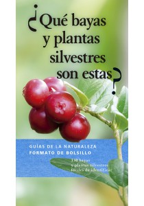¿QUÉ BAYAS Y PLANTAS SILVESTRES SON ESTAS?.