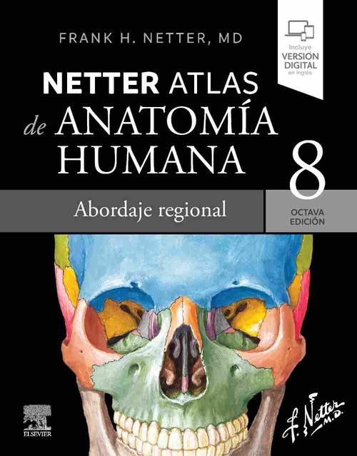 NETTER. ATLAS DE ANATOMÍA HUMANA. ABORDAJE REGIONAL