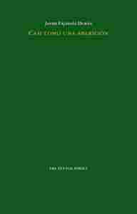 CASI COMO UNA APARICIÓN