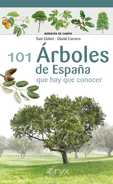 101 ÁRBOLES DE ESPAÑA. QUE HAY QUE CONOCER
