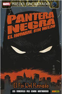 2. PANTERA NEGRA: EL HOMBRE SIN MIEDO