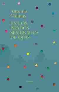 EN LOS PRADOS SEMBRADOS DE OJOS