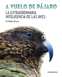 A VUELO DE PAJARO. LA EXTRAORDINARIA INTELIGENCIA DE LAS AVES