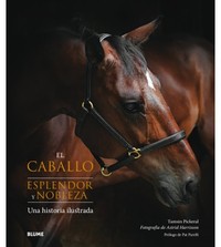 EL CABALLO. ESPLENDOR Y NOBLEZA. UNA HISTORIA ILUSTRADA