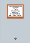 (4º.) CONCEPTOS BASICOS DE DERECHO PROCESAL CIVIL