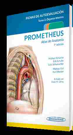 (7ª) PROMETHEUS. ATLAS DE ANATOMÍA.FICHAS DE AUTOEVALUACIÓN TOMO 2: ÓRGANOS INTERNOS