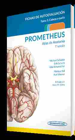 (7ª) PROMETHEUS. ATLAS DE ANATOMÍA.FICHAS DE AUTOEVALUACIÓN TOMO 3: CABEZA, CUELLO Y NEUROANATOMÍA