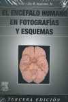 ENCEFALO HUMANO EN FOTOGRAFIAS Y ESQUEMAS, EL