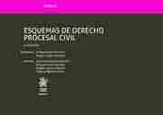 II. ESQUEMAS DE DERECHO PROCESAL CIVIL
