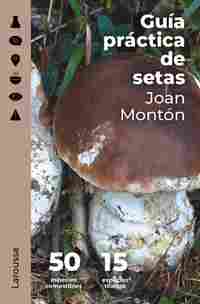 GUÍA PRÁCTICA DE SETAS