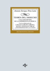 TEORÍA DEL DERECHO. UNA CONCEPCIÓN DE LA EXPERIENCIA JURÍDICA