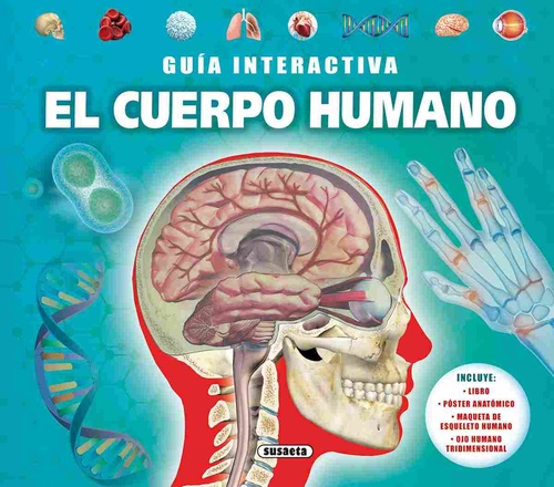 EL CUERPO HUMANO. GUÍA INTERACTIVA