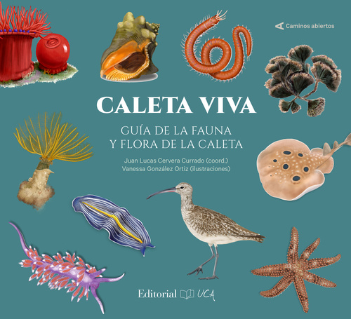 CALETA VIVA. GUIA DE LA FAUNA Y FLORA DE LA CALETA