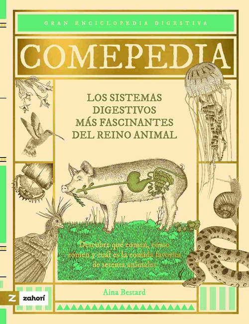 COMEPEDIA. LOS SISTEMAS DIGESTIVOS MÁS FASCINANTES DEL REINO ANIMAL