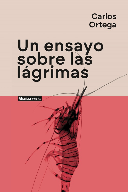 UN ENSAYO SOBRE LAS LÁGR