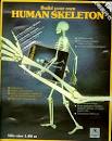 ESQUELETO HUMANO. BUILD YOUR OWN HUMAN SKELETON (1.80 M)