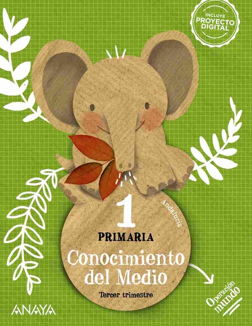 1º PR. CONOCIMIENTO DEL MEDIO. CUADRICULA. OPERACIÓN MUNDO. ANDALUCIA