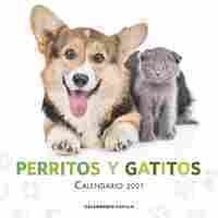 CALENDARIO PERR.Y GATITOS 2021