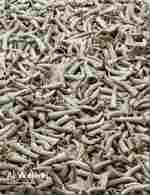 AI WEIWEI. RESTABLECER MEMORIAS