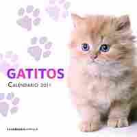 CALENDARIO GATITOS 2011
