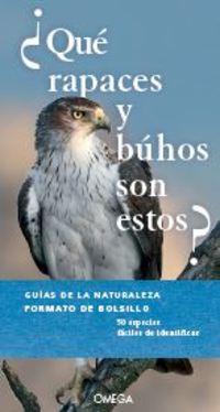 ¿QUE RAPACES Y BUHOS SON ESTOS?.