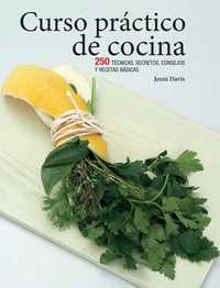 CURSO PRÁCTICO DE COCINA. 250 TÉCNICAS, SECRETOS, CONSEJOS Y RECETAS BÁSICAS