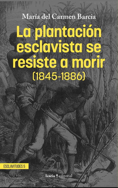 LA PLANTACIÓN ESCLAVISTA SE RESISTE A MORIR (1845-1886)