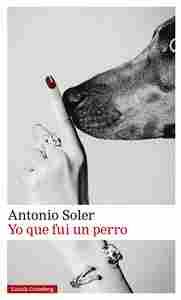 YO QUE FUI UN PERRO