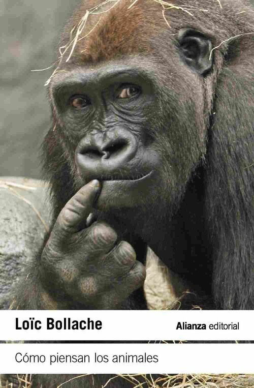 CÓMO PIENSAN LOS ANIMALES